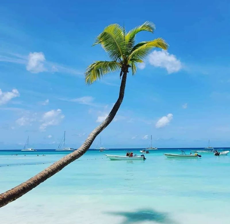 Saona Island Full Day