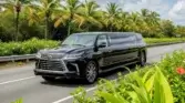 Home Page | Luxury Airport Transfers in Punta Cana | T. Caribe 2025